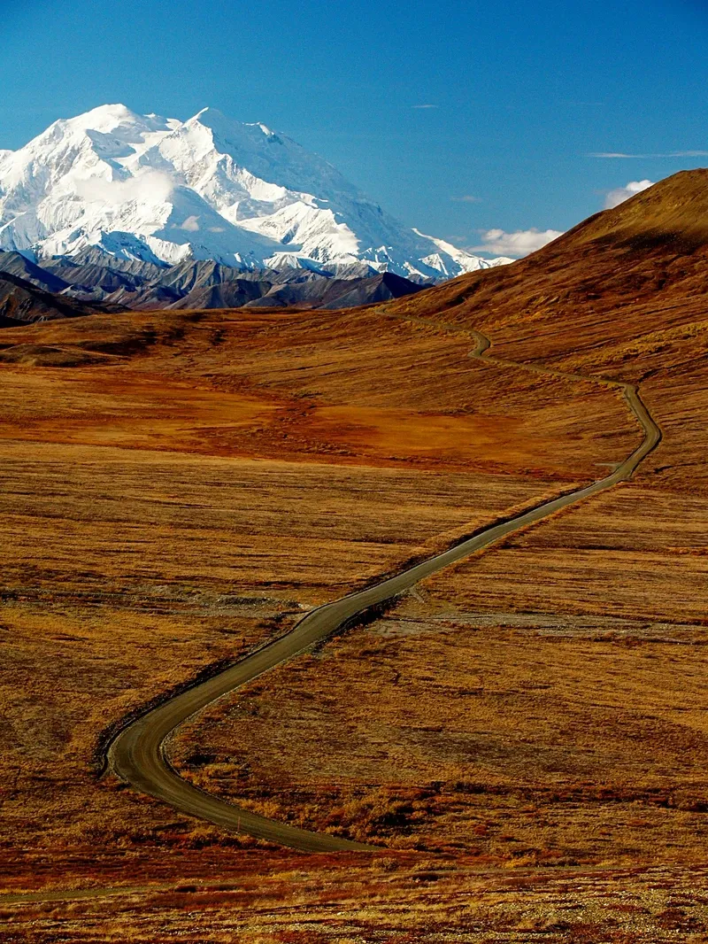 Denali view 1