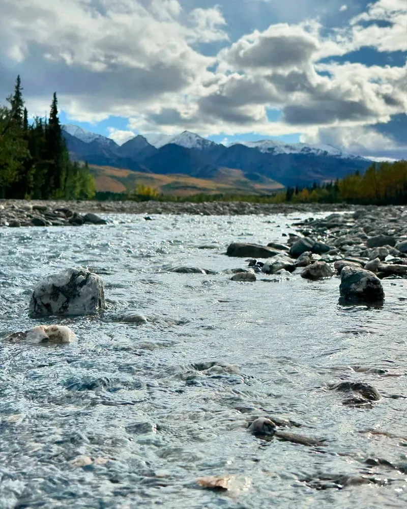 Denali view 2
