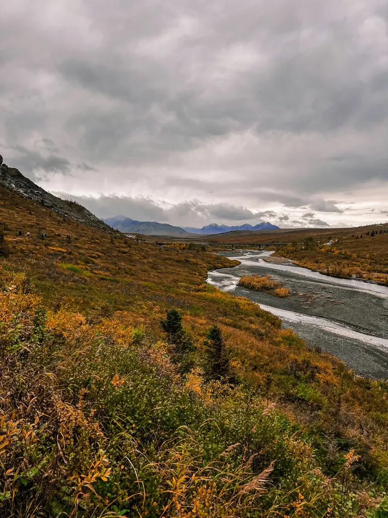 Denali view 3